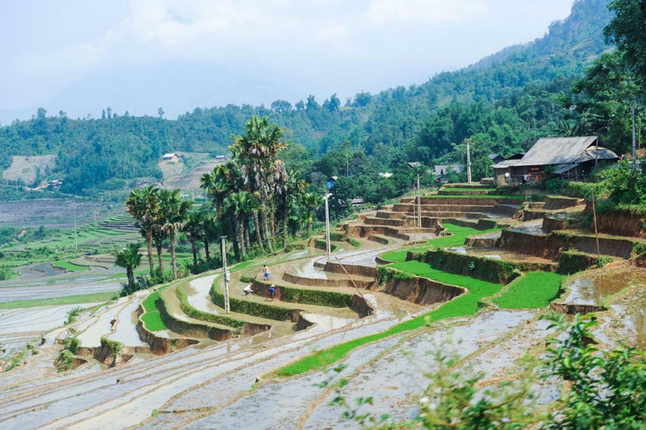 Topas Riverside Lodge Sapa Exteriör bild